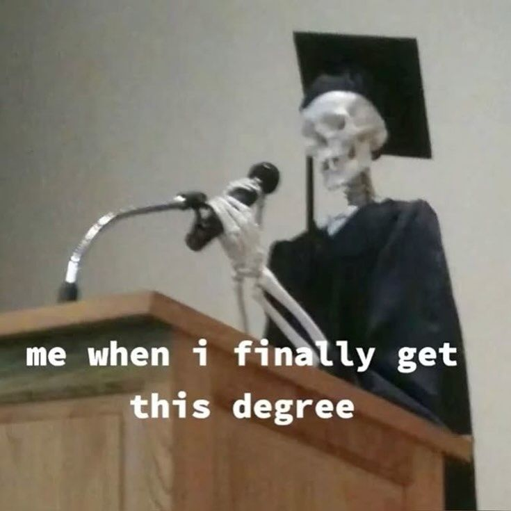 A skeleton graduating: me when I finally get this degree